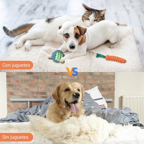 Conjunto de brinquedos multicoloridos para cães
