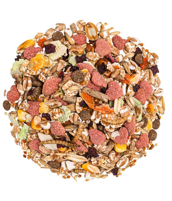 Dehner Premium Rennmausfutter, 750 g