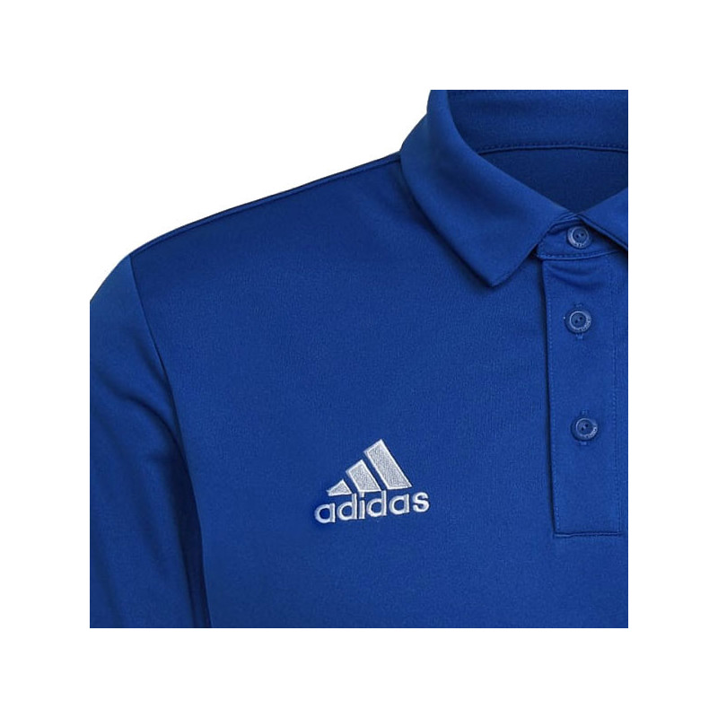 Polo de sport Adidas Entrada 22 bleu royal