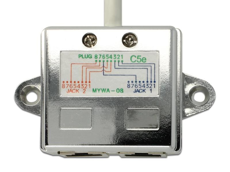 Delock Anschlussverdoppler 2x 100Mbps LAN 1 Stück Delock RJ45 Port Doppler 1 x RJ45 Stecker zu 2 x RJ45 Buchse (2 x Ethernet)