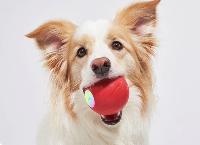 (Ø78mm) Wicked Ball PE Interaktiver Hunde Ball Haustier Spielzeug mit 3 Spiel Modi / LED Anzeige / Soundeffekte (CWB0201IT) - Grün