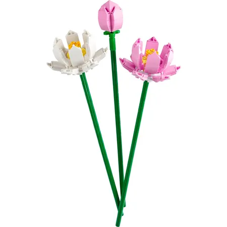 LEGO® Botanicals 40647 Lotusblumen