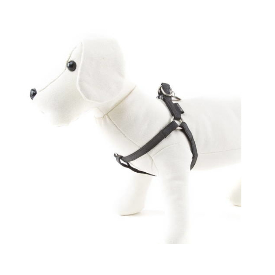Coleira clássica preta para cães MacLeather