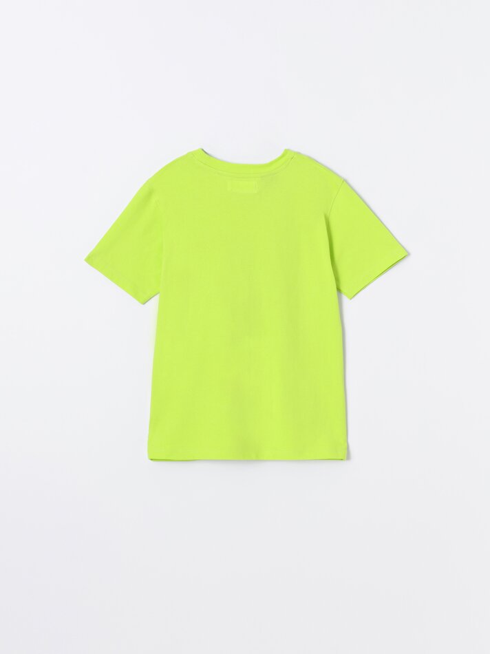 Camiseta estampada Junassic Park - Verde Pistache
