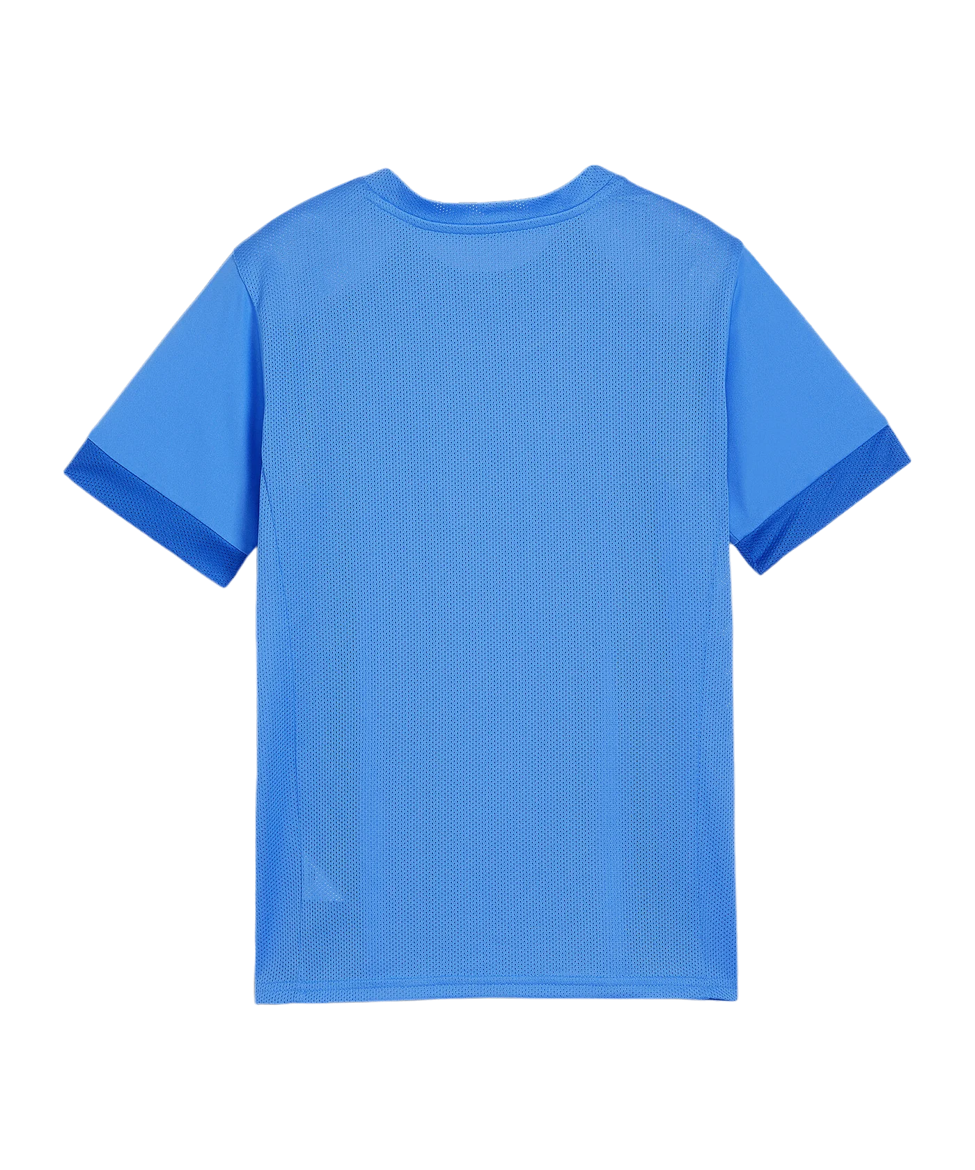 PUMA teamGOAL Matchday Trikot Kids Blau Weiss F02