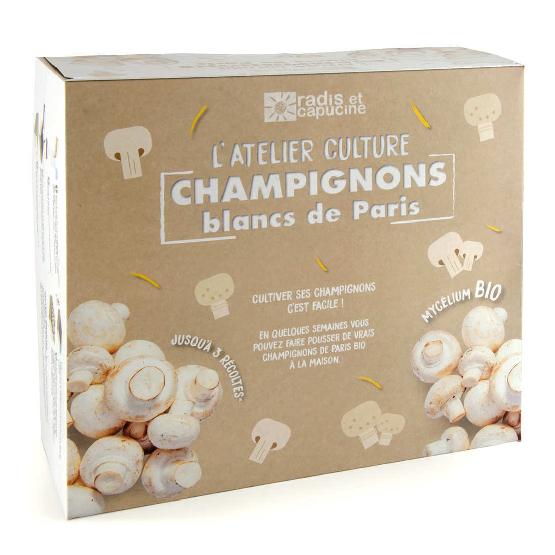 Boite de culture : champignons de Paris bio
