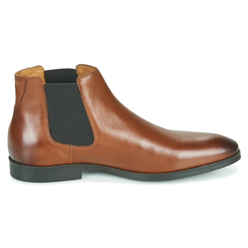 Pellet - BILL - VEAU GOLD