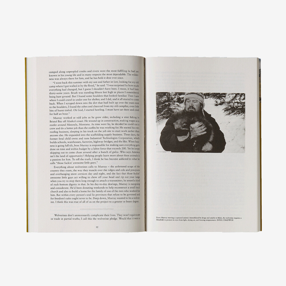 Der Wolverine-Weg von Douglas Chadwick (Patagonia-Taschenbuch)