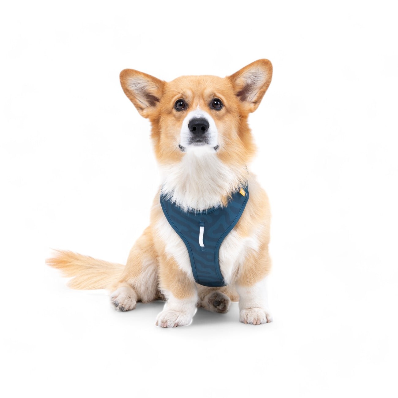 Woolly Wolf Geschirr Roam Deep Teal XS