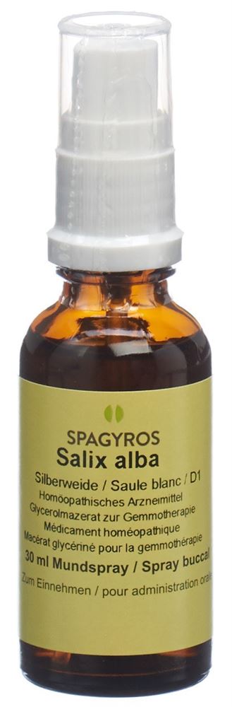 Spagyros Salix alba Glyc Maz 1 D Spr 30 ml