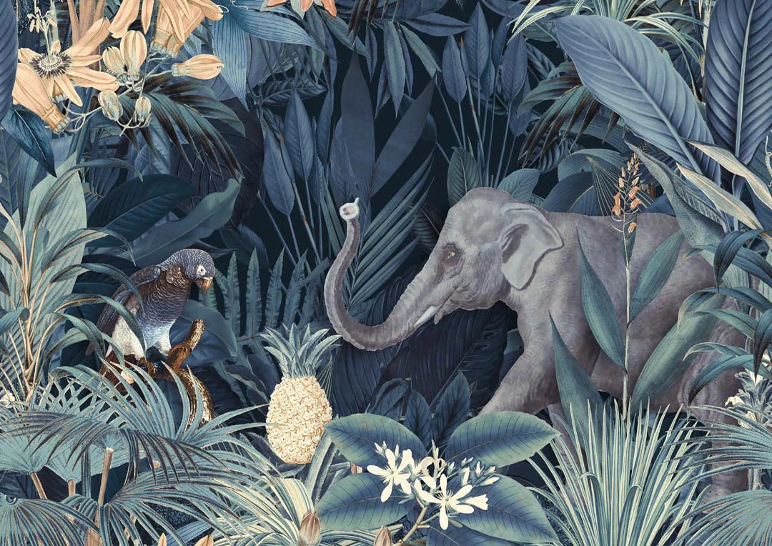 Tropischer Mitternachts-Dschungel-Elefant von Andrea Haase