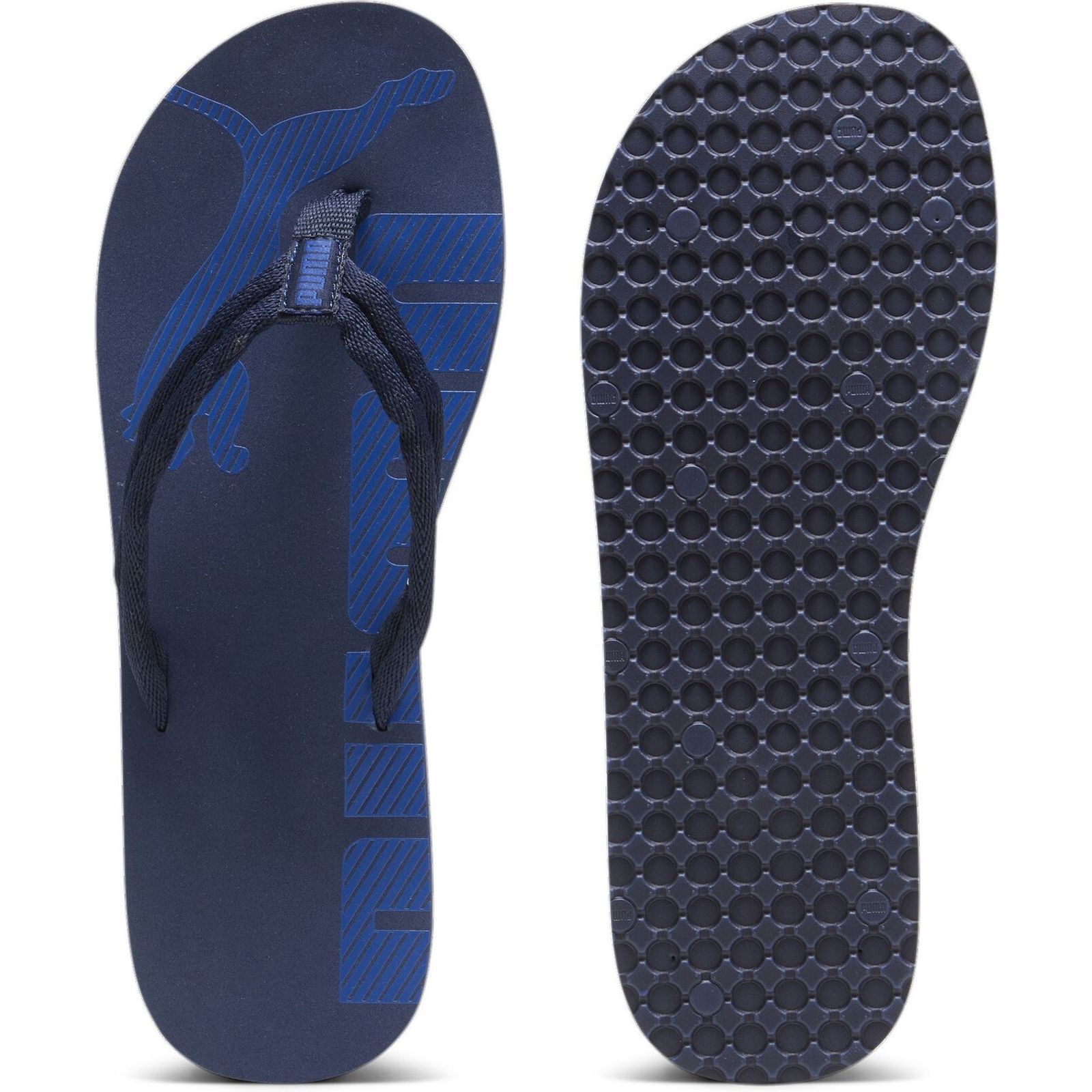 PumaEpic Flip v2