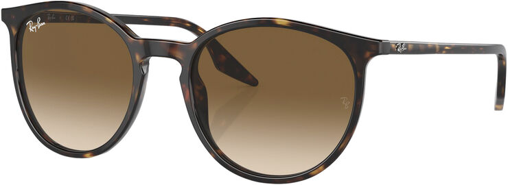 Ray-Ban RB2204 Havana