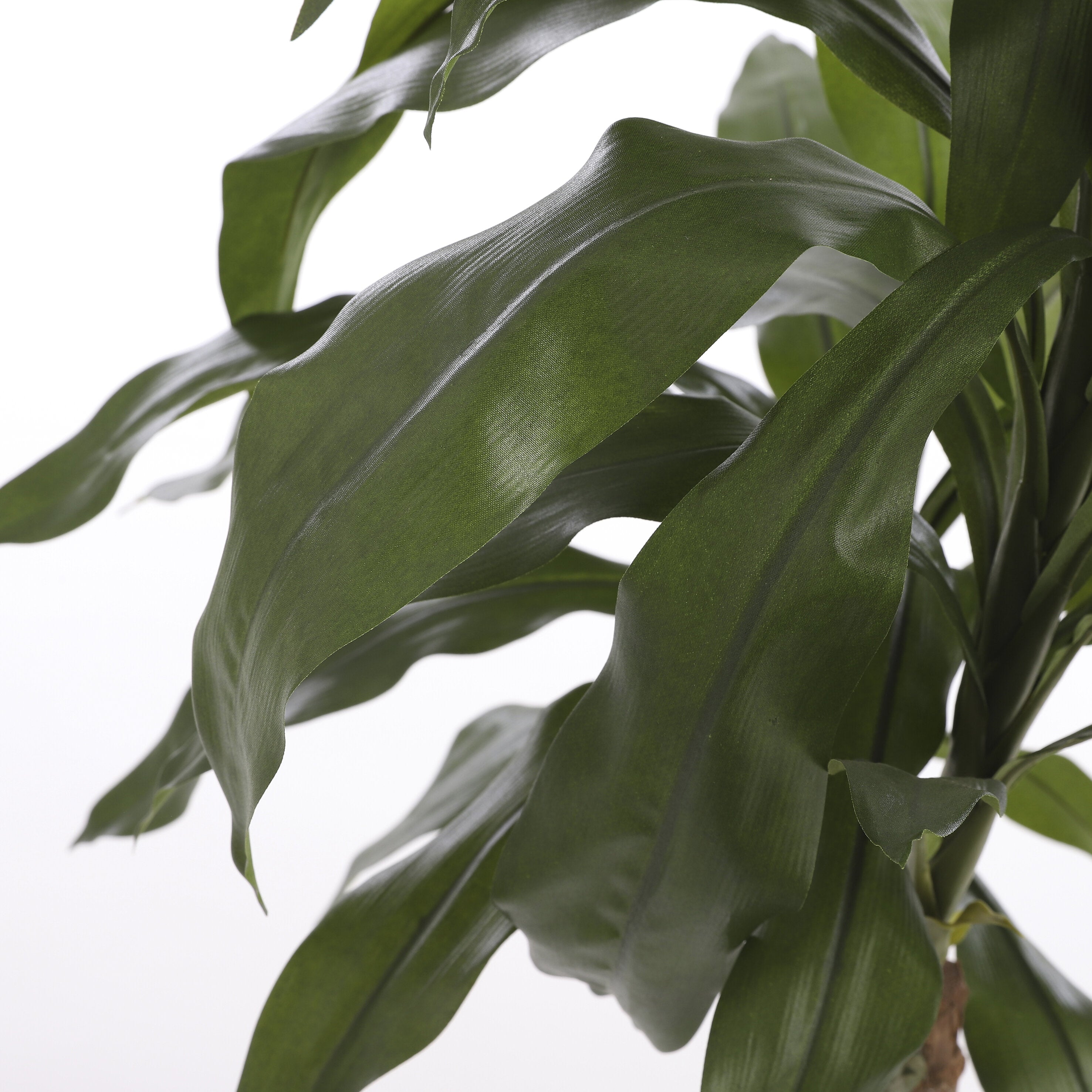 Mica Decorations Dracaena groen in plastic pot - h100xd70cm