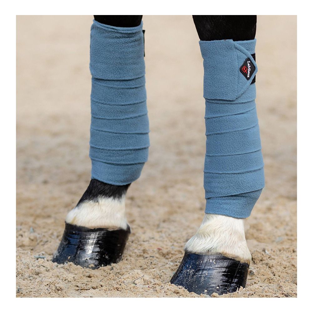 Le Mieux CLASSIC - Bandes de polo x4 ice blue