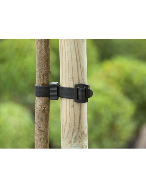 Nature Boomband - Klim-En Geleide Artikel - 2.5x45 cm Zwart