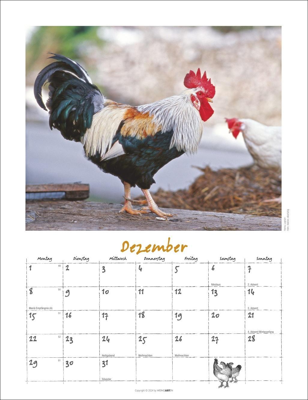 Der Hühnerkalender 2025