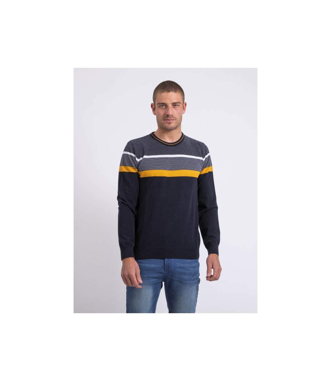 Pull fin col rond coton ARLO