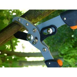 Coupe-branches pour dames, longueur : 470 mm