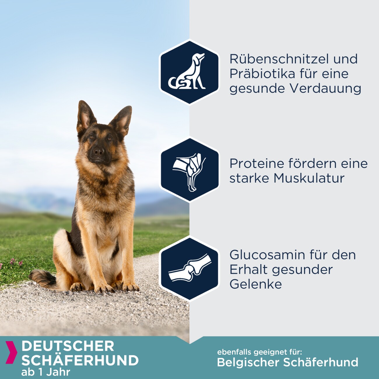 EUKANUBA Trockenfutter für Hunde, rassespezifisch Deutscher Schäferhund Erwachsener 12 kg