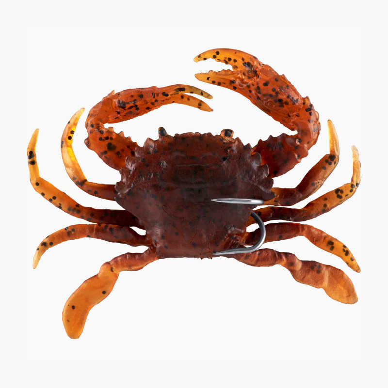 Krabbe