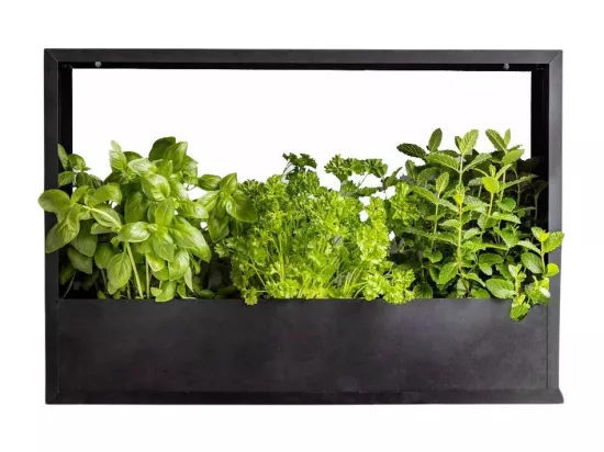 Cadre mural en fer pour plantes Garden 58 x 18 x 40 cm