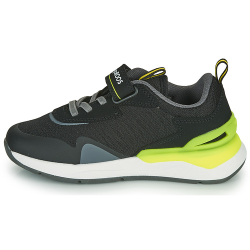 Kangaroos - KD-GYM EV - Noir / Jaune
