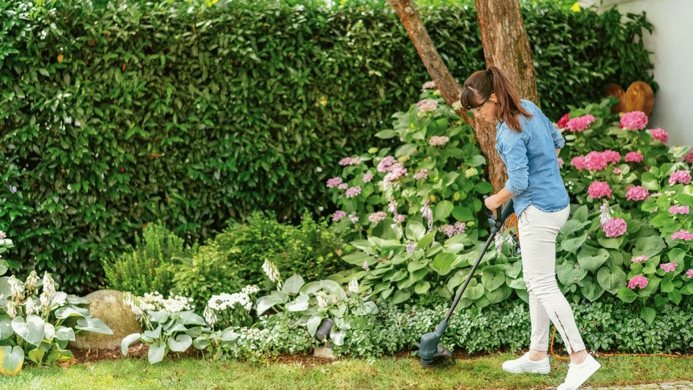 Coupe-bordures électrique filaire easy grass cut 23