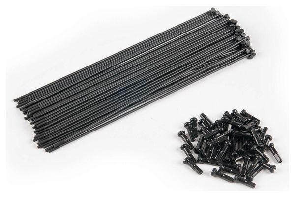 RAYONS ECLAT PG 182mm BLACK (x40)