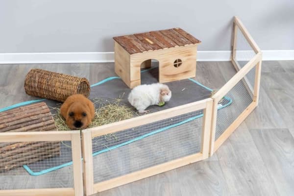 Trixie Indoor run, guinea pigs, 4 elements of 60 × 30 cm