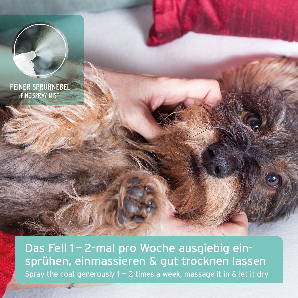 AniForte Fellgeruch-STOP