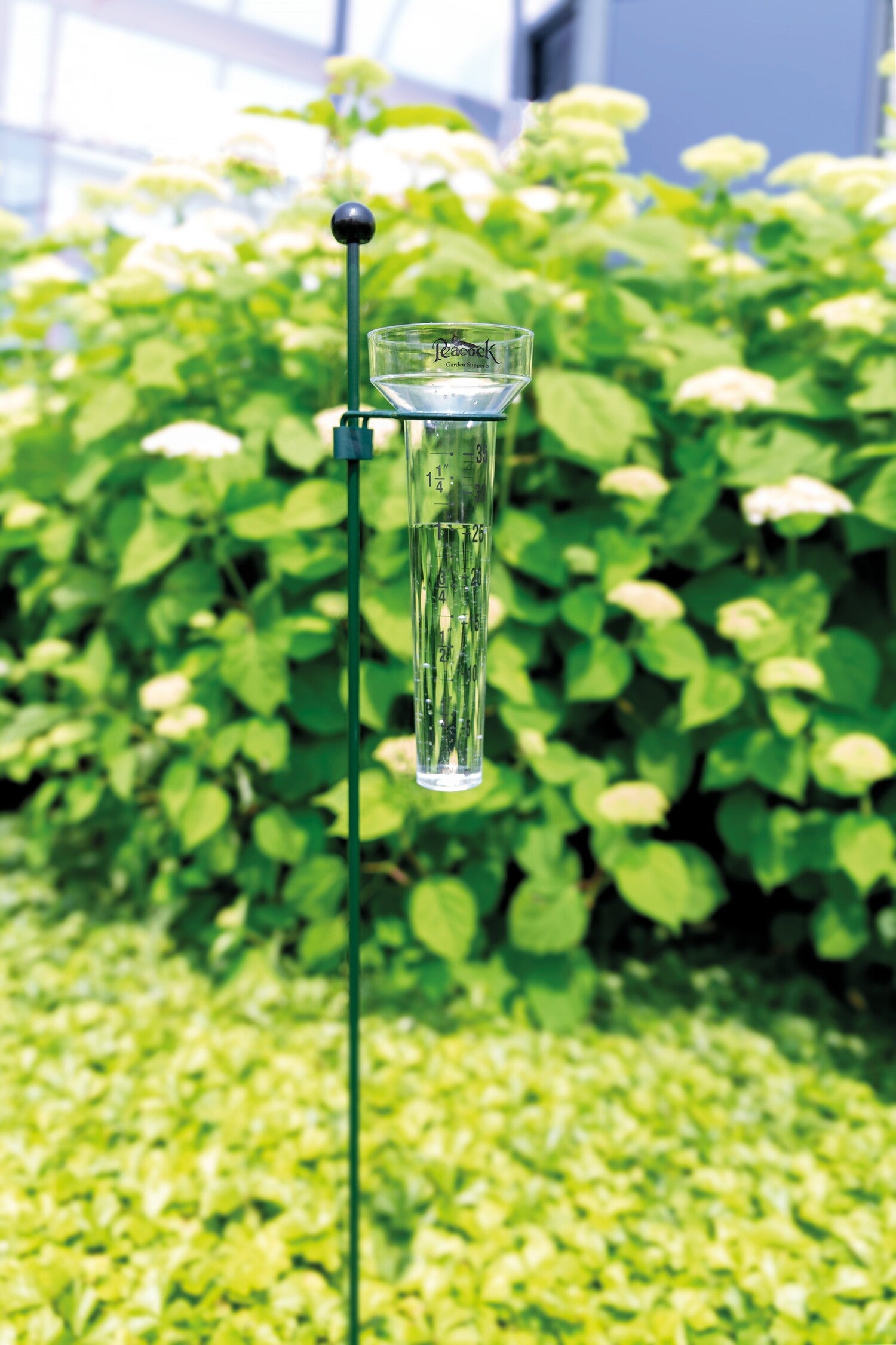 Peacock regenmeter met stalen ring transparant 8,5 x 8,5 x 28 cm