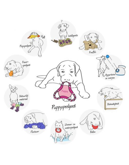 Trixie Dog Activity Gamble Box Strategiespel - Hondenspeelgoed - 15x15 cm Donkerblauw Wit Level 1
