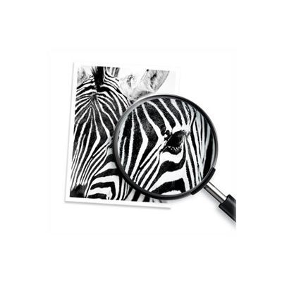Cartouche compatible HP 924e - noir - EvoMore