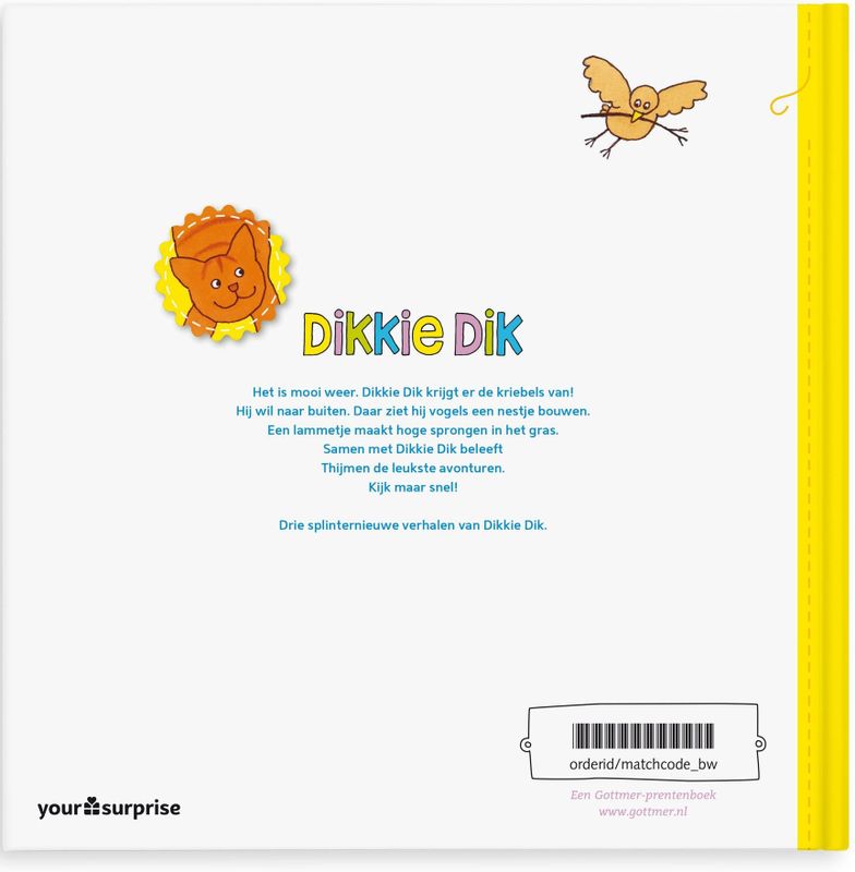 Boek met naam - Dikkie Dik heeft de renkriebels - Hardcover