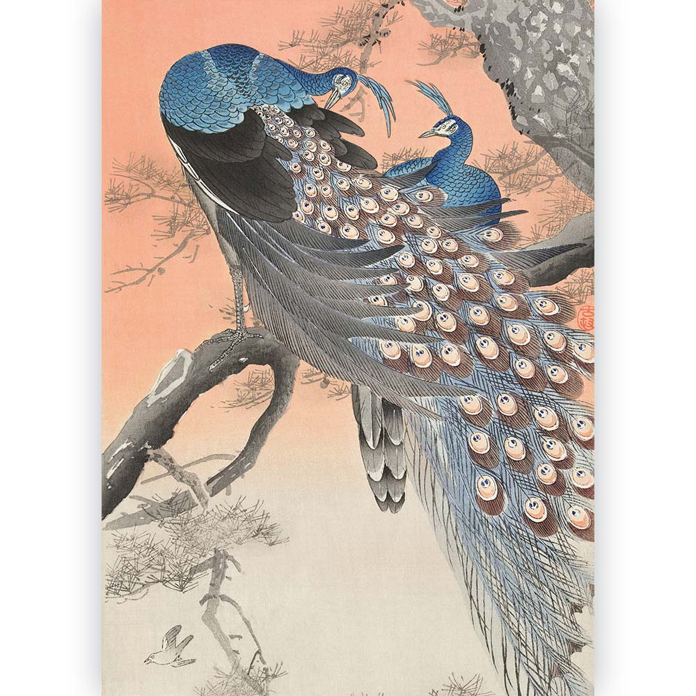 Poster Ohara Koson - Two Peacocks on a Branch 30x45 cm