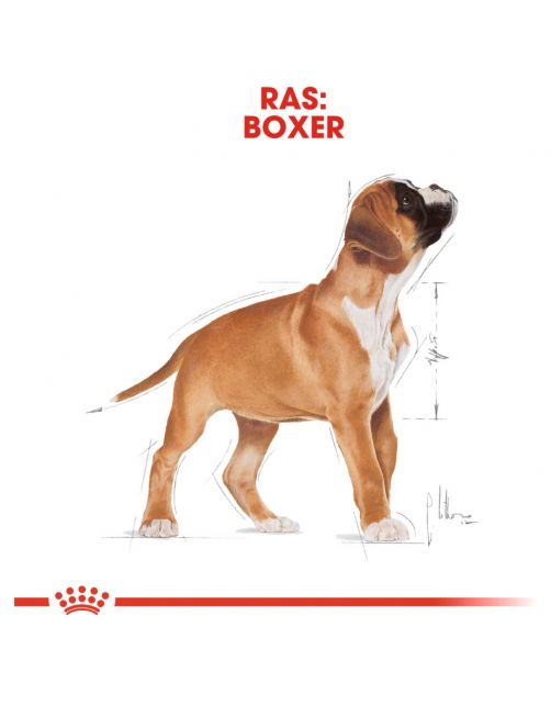 Royal Canin Boxer - Puppy-Hondenvoer
