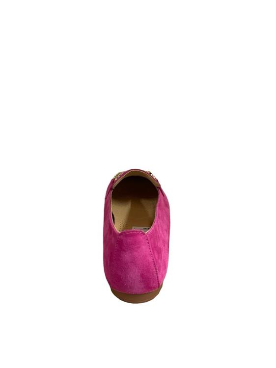 PS Poelman CLSHN2559 Rose