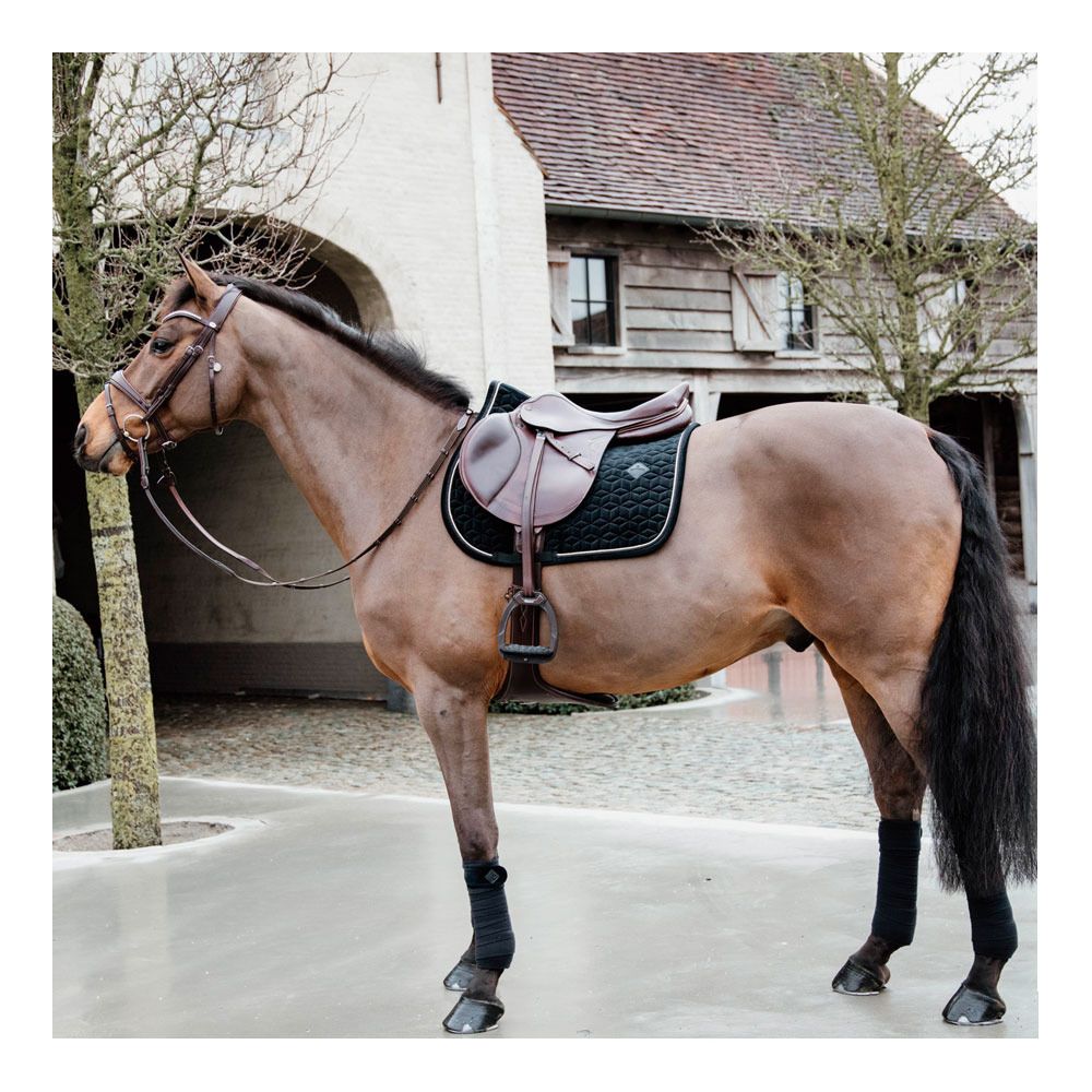 Kentucky BASIC VELVET - Tapis mixte black