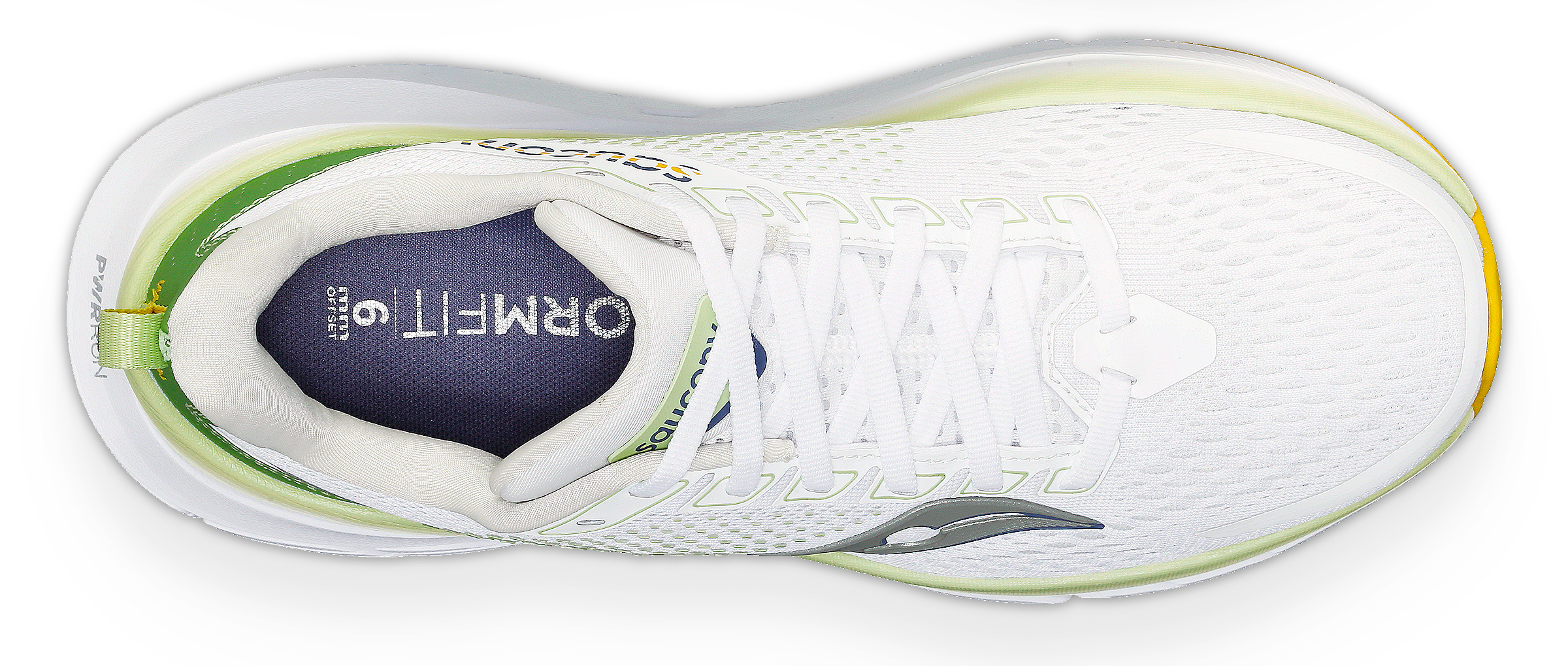Guide 17 Dame White/Fern