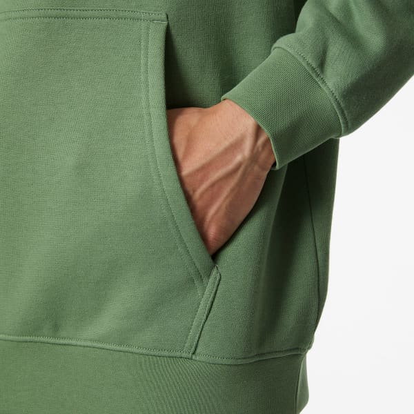 Sweatshirt HELLY HANSEN CORE GRAPHIC SWEAT HOODIE JADE