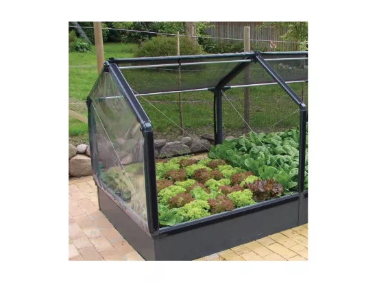 Potager premium avec serre et protection Veg Longueur 240 cm