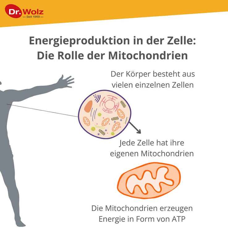 Zell Oxygen plus flüssig, 250 ml