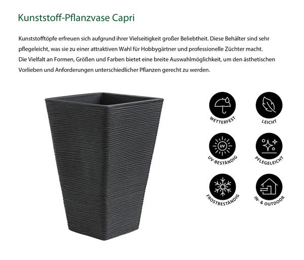 Dehner Kunststoff-Pflanzvase Capri, konisch,