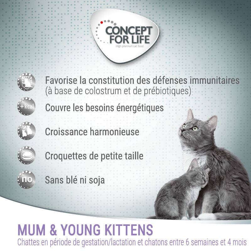 Concept for Life Mum & Young Kittens pour chatte et chaton