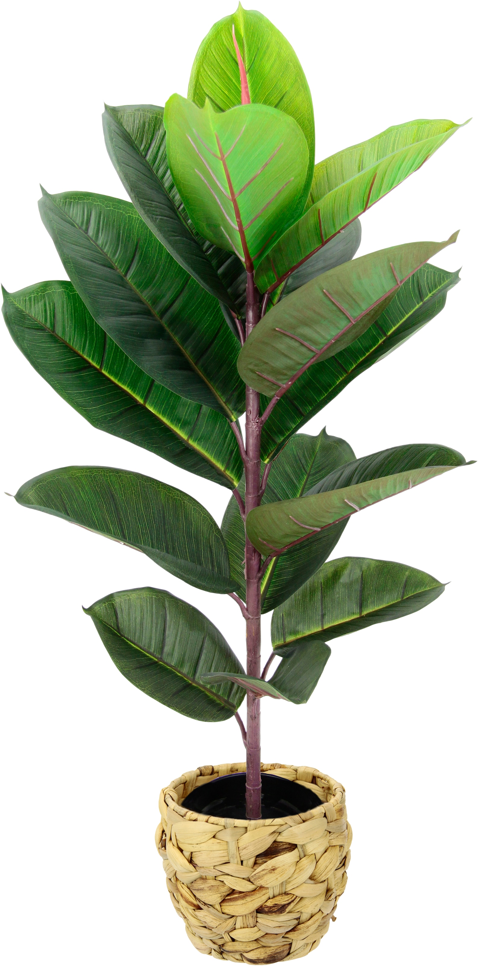 I.GE.A. Kunstbaum »Gummibaum« Mit Übertopf, Ficus Elastica