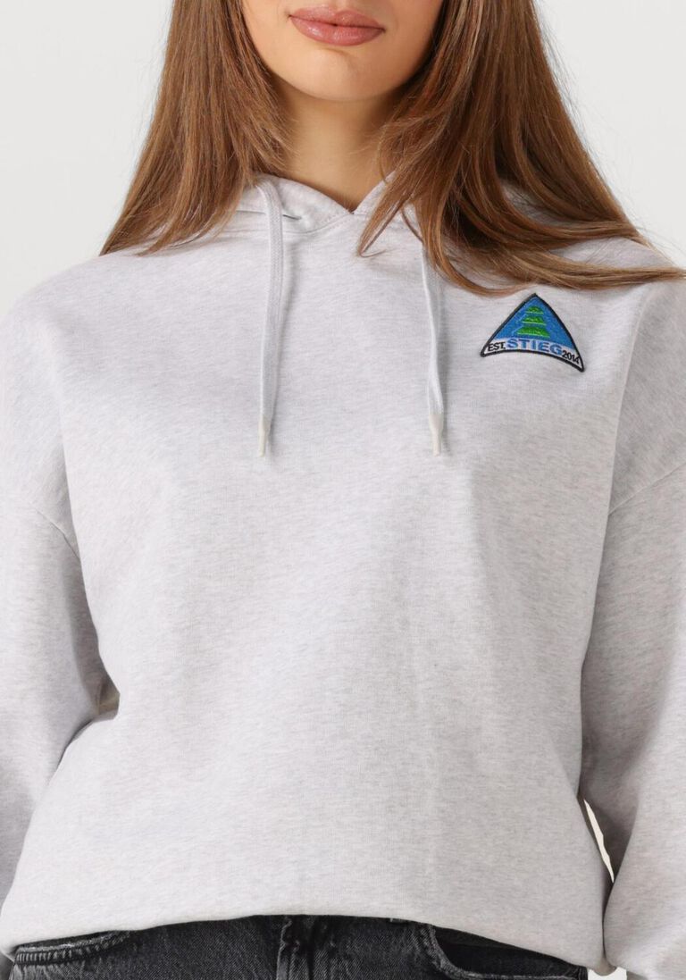 lichtgrijze stieglitz trui cisco hoodie