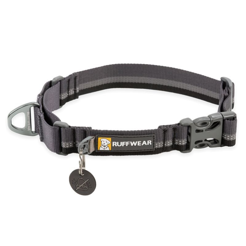 Web Reaction - Collier pour chien