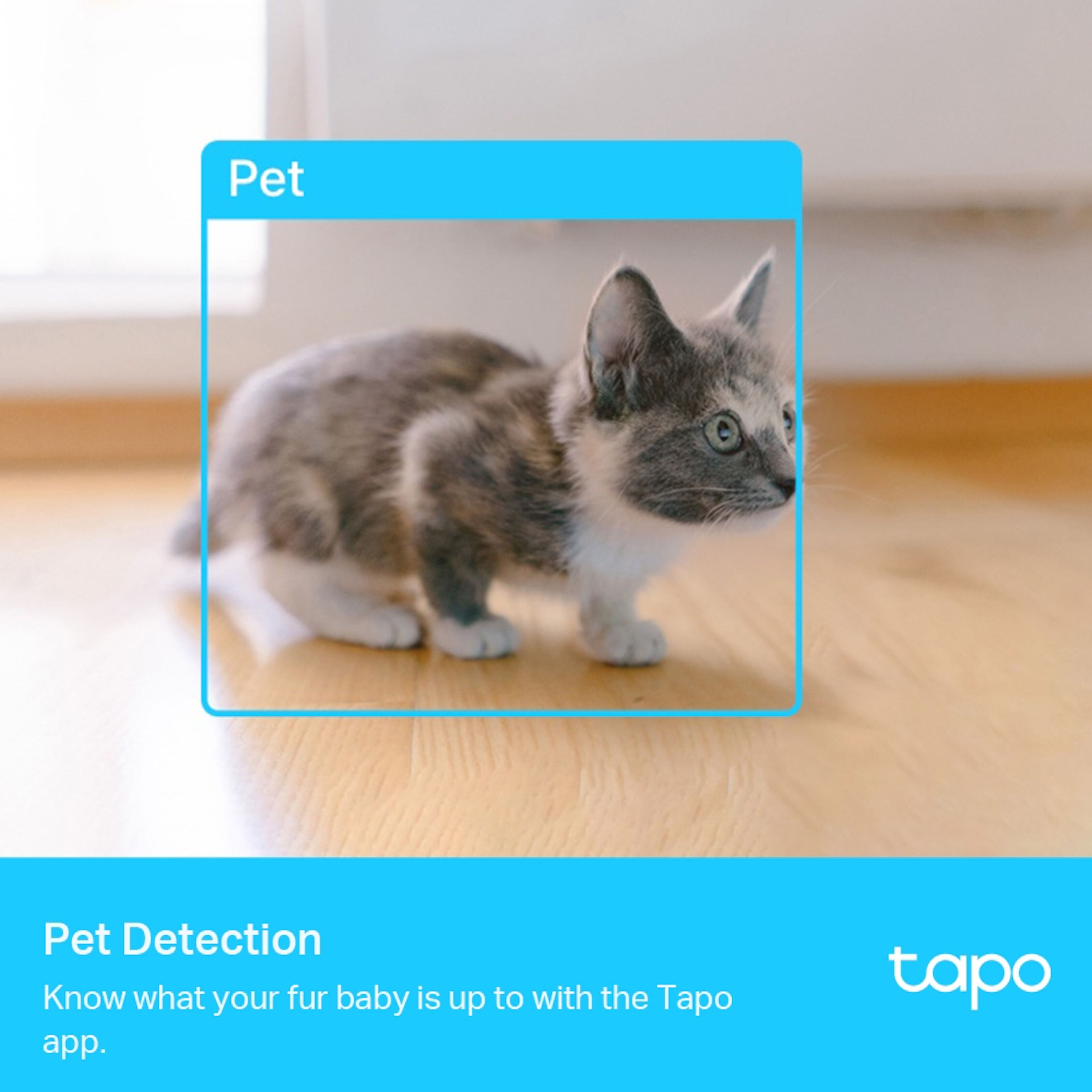 TP-link Tapo C225 AI Trådløst overvåkingskamera