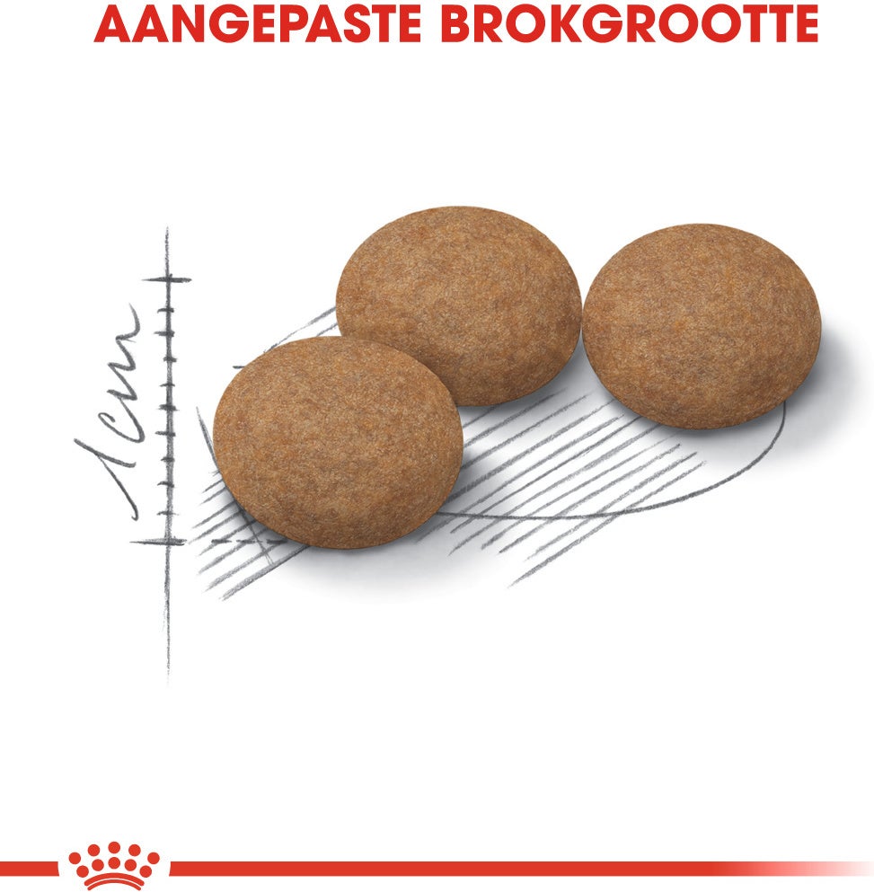 Royal Canin kattenvoer Ageing Sterilised 12+ 400 g